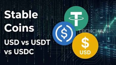 Perbedaan USD Dolar USDT USDC